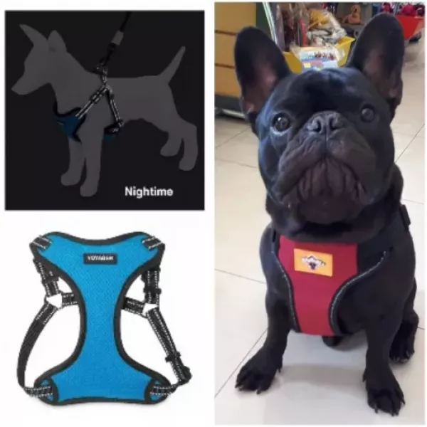 CONJUNTO ARNES Y CORREA NEOPRENE talle M RP
