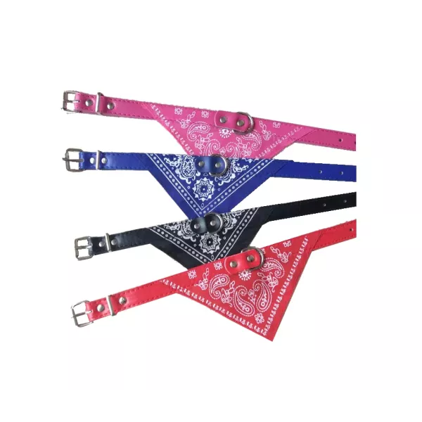 COLLAR  PANUELO 1.5 CHICO