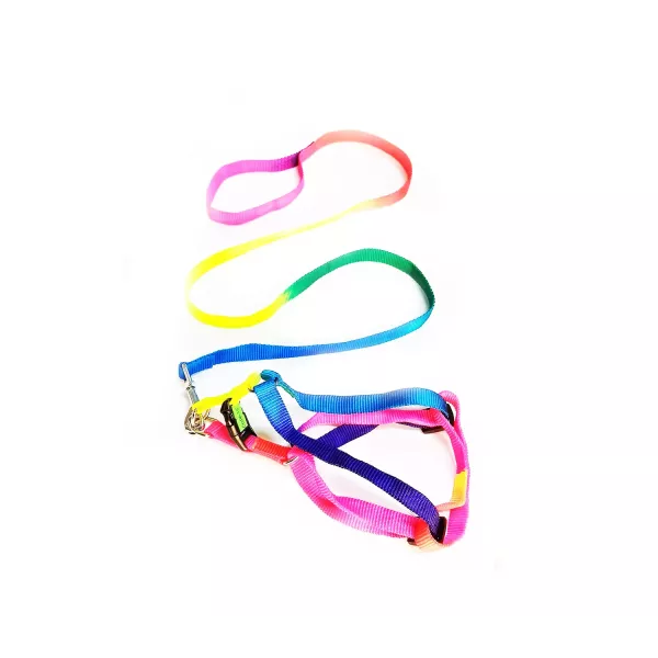 CONJUNTO CORREA/PRETAL ARCO IRIS 8414