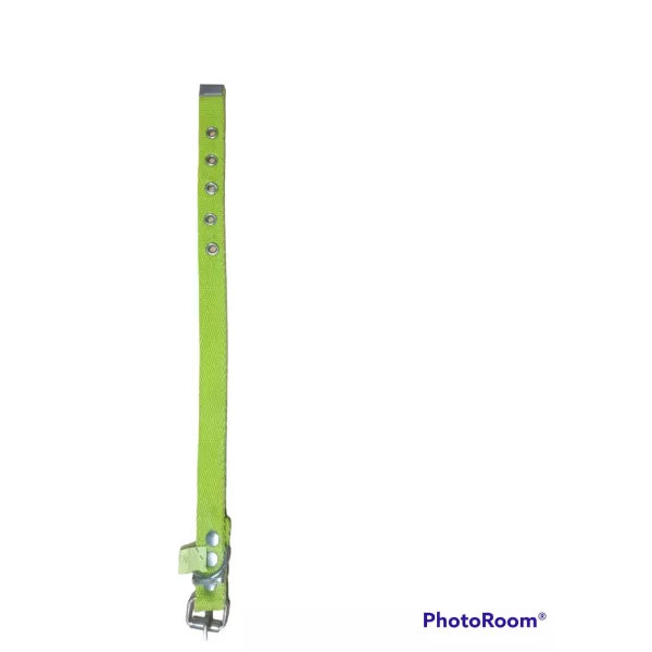 COLLAR POLIPROPILENO VERDE FLUO