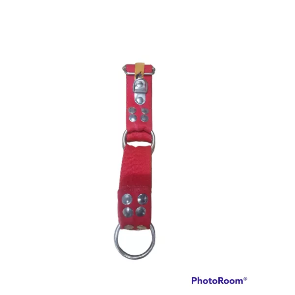 COLLAR ROJO REFORZADO DOBLE