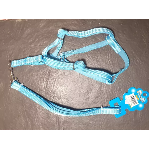 Conjunto pretal y correa celeste 1.0 Dd