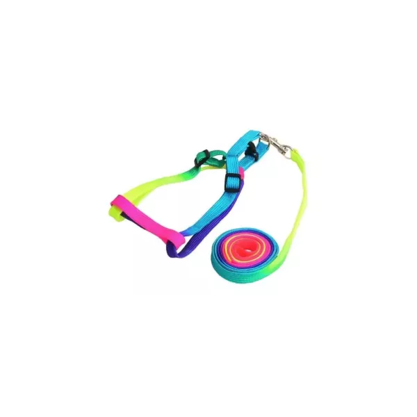 CONJUNTO PRETAL FLUO CHICO KANI