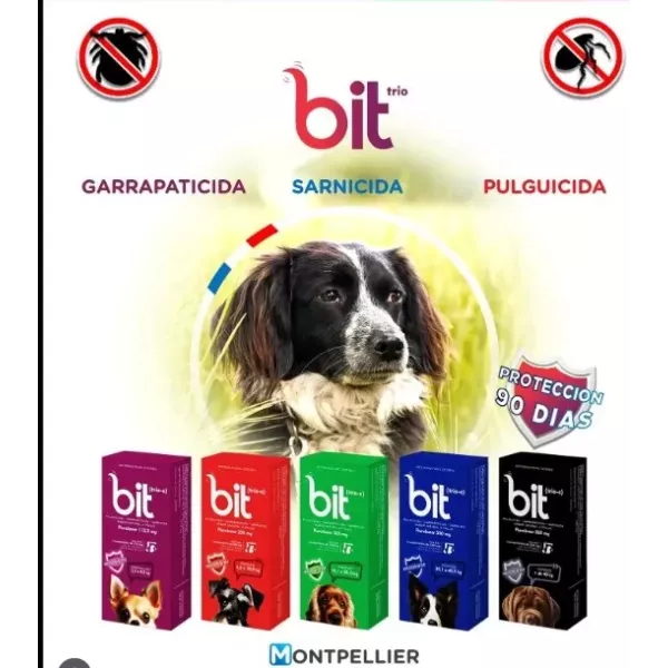 Bit Trio 10 a 20kg duración 3 meses