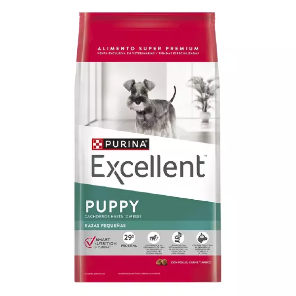 Excellent dog puppy raza pequeña 3kg