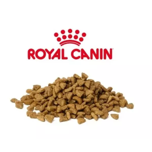 Royal canin cat kitten 1k Fraccionado